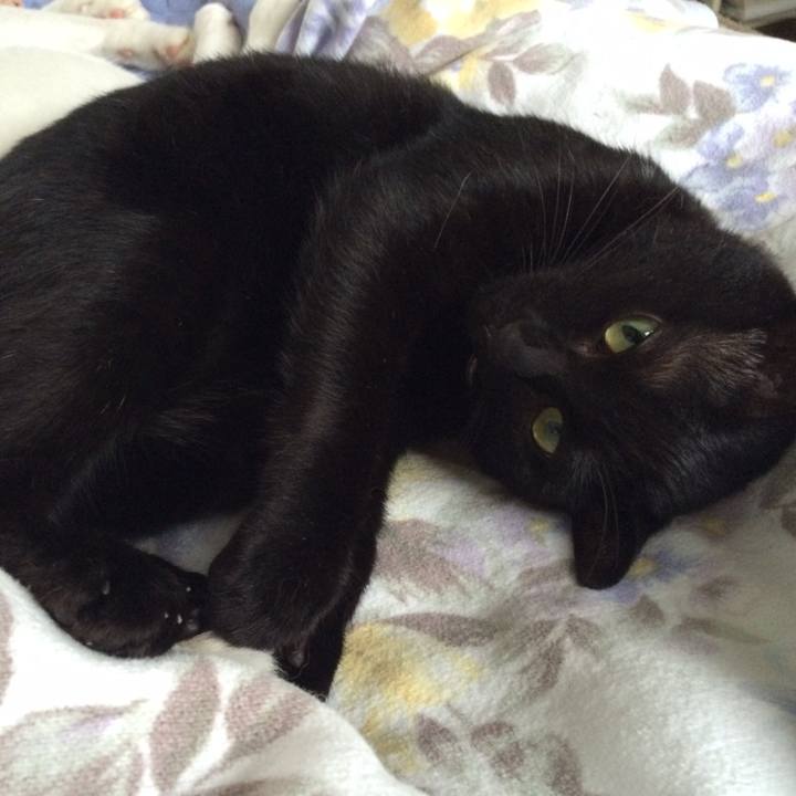 Fd856032 ffa9 4bc0 a4d3 6b1ab2105e46