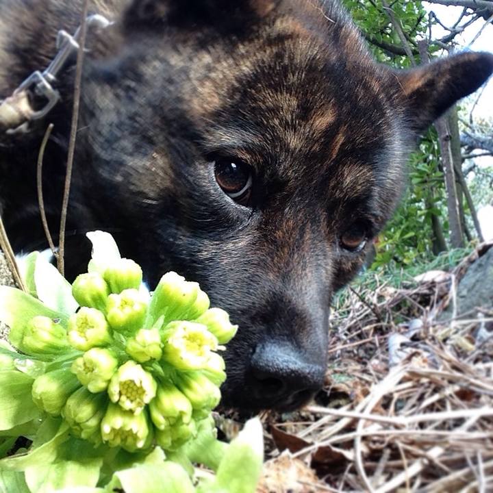 Fd85c646 17b4 4702 bd3f 3d9d3f7bc5b0