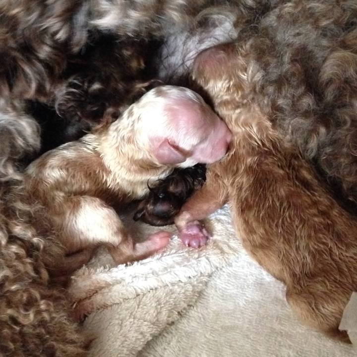 Fd865bd2 1120 402f a60b 120f1a431964