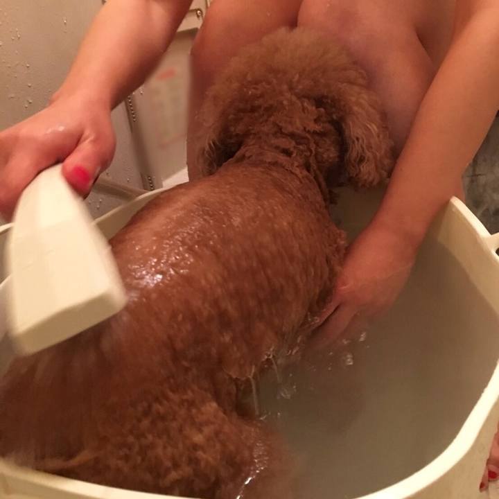 Fd868538 3fbb 4854 92d2 8705b45e829f