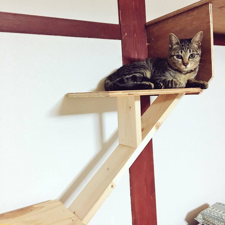 Fd869d70 73ae 4bf0 8a5d 3fdfa1e88099