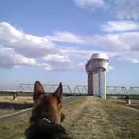 Fd87f392 3608 4567 84cf 850ae8c73e31