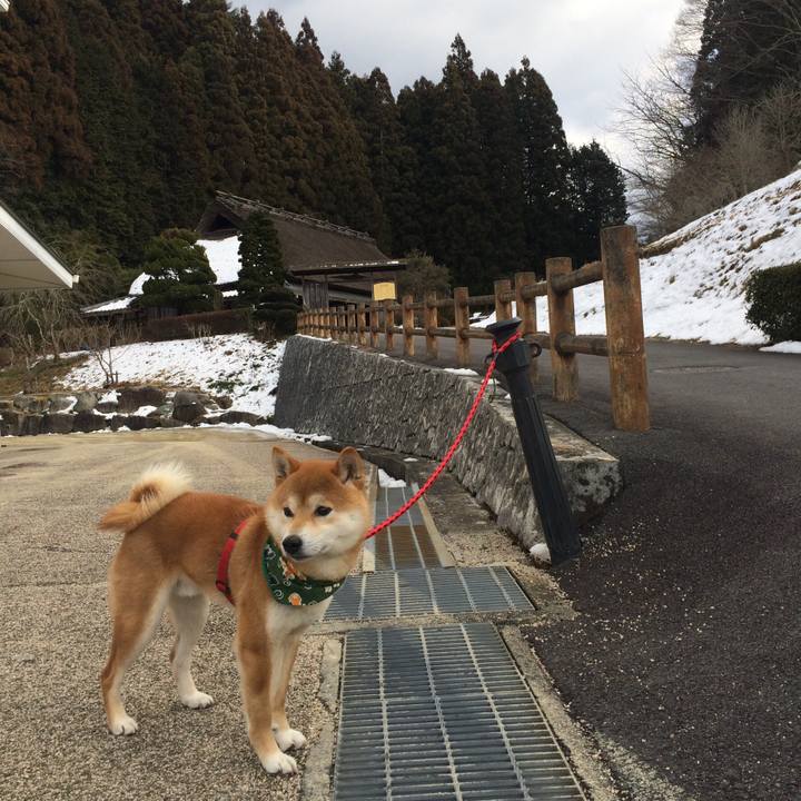 Fd888642 2978 4951 a06b e6953a1c34ed