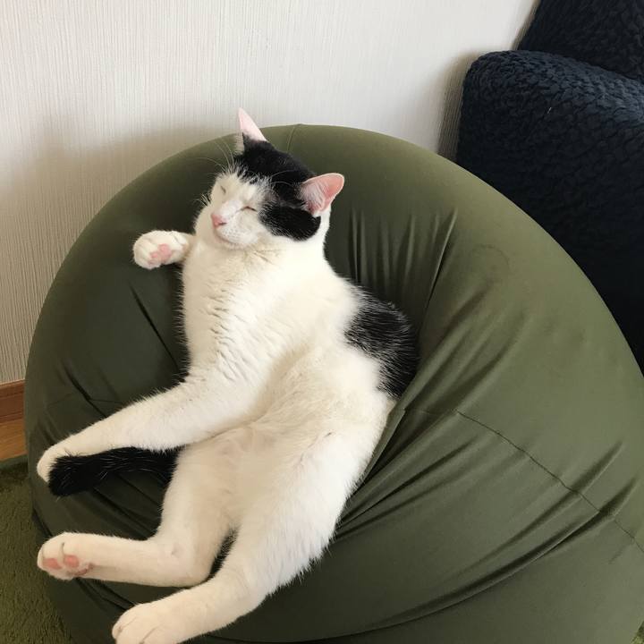 Fd897909 3c69 4ef7 994f 29da802b2157