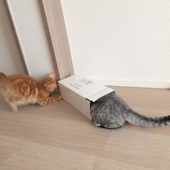 Fd899813 f7f6 4d2e 980b 7474de2b7824