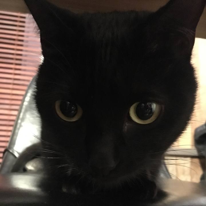 Fd8b7728 489b 4597 9846 b820ebd65334