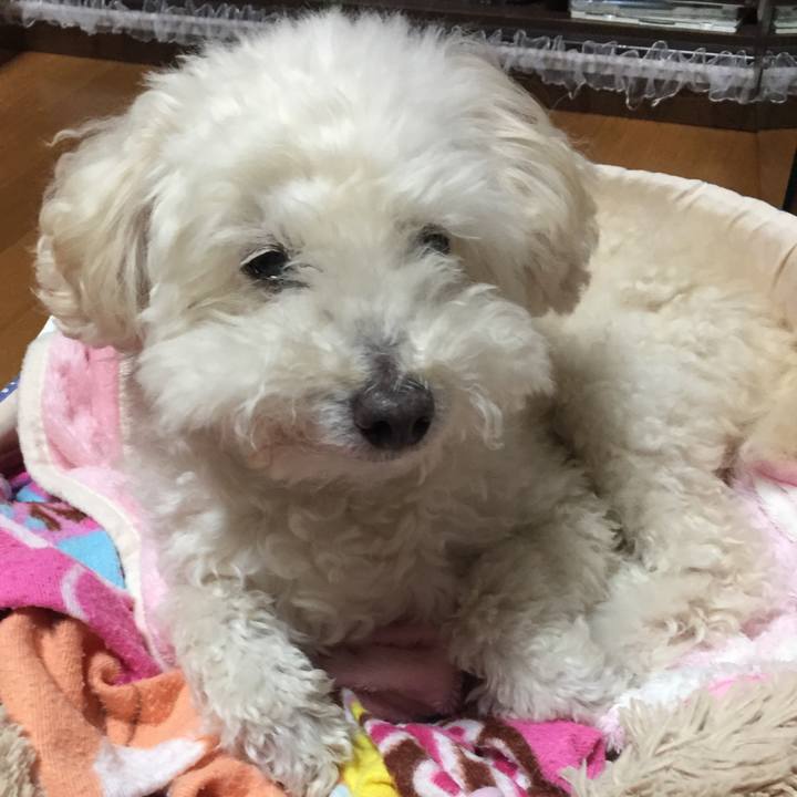 Fd8bb281 3edc 464a adc6 47464d81d416