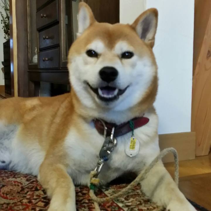 Fd8bf3b7 5b21 43ec 95cd 2ebb71b0dcf8