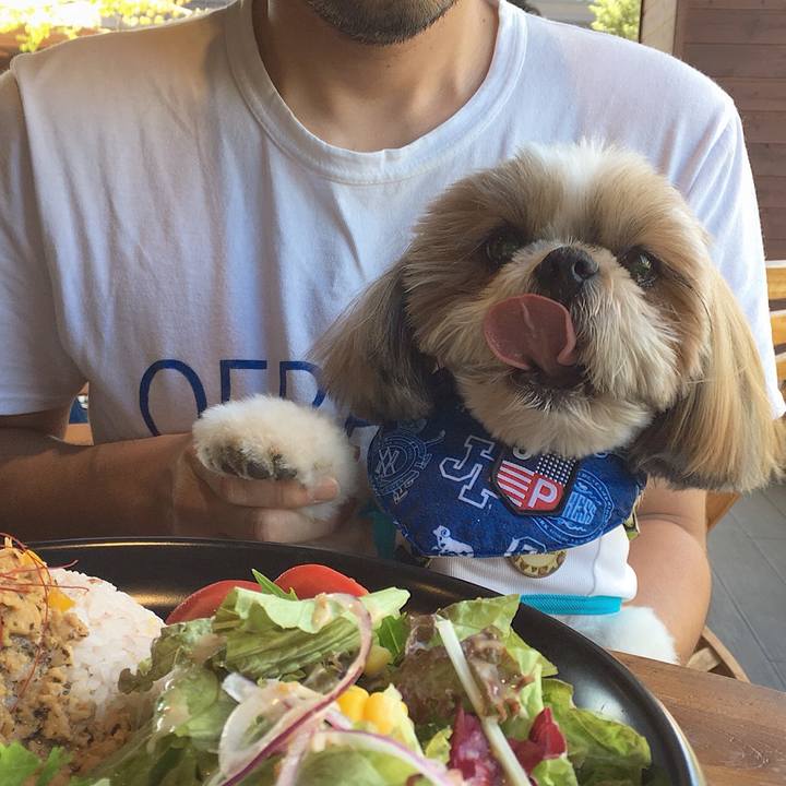 Fd8c16ec 459a 4a2a 9885 15ff99e89e01