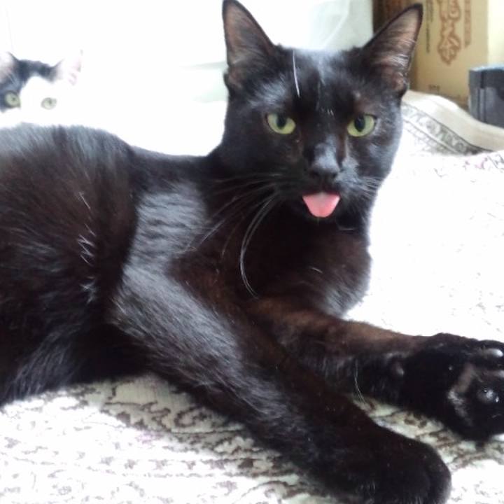 Fd8c3441 4f29 4f8b 90ed 511103c6e7e1