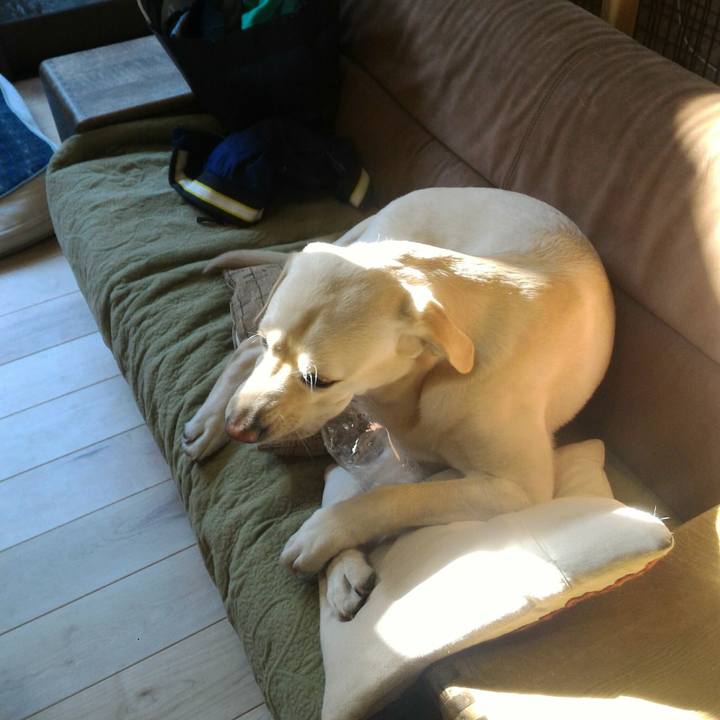 Fd8c8806 63aa 45d9 aea8 3828b653512d