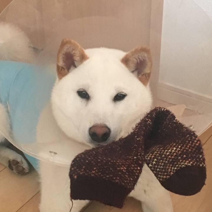 Fd8c8d49 9875 4d35 b121 6ac41ef05925