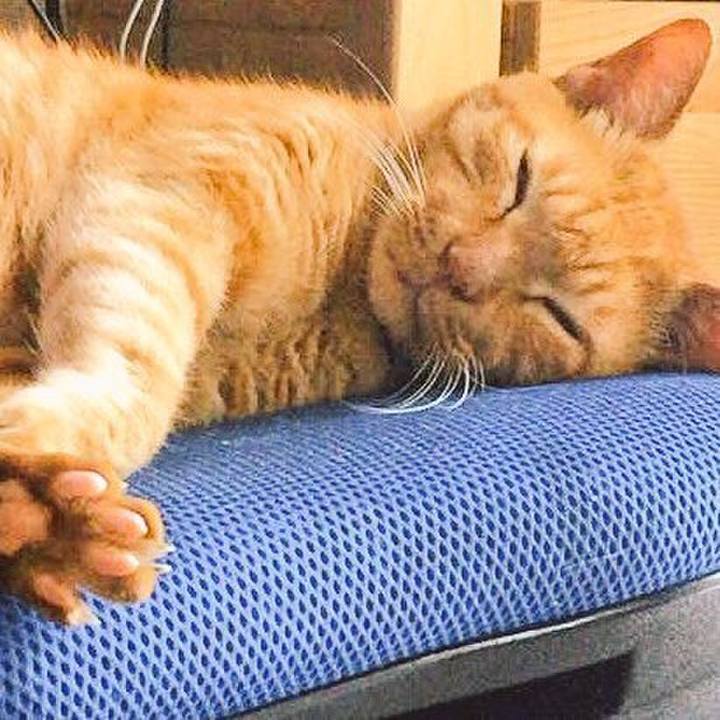 Fd8cac8a 89d0 48f2 aa29 e8ddd0a99975