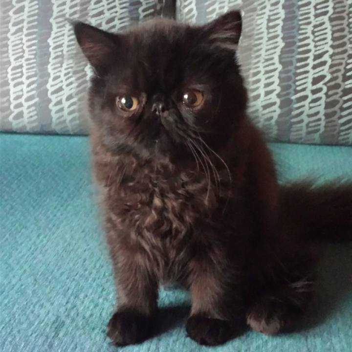 Fd8cd8e3 e2bc 4443 a37f 5ba73193d740