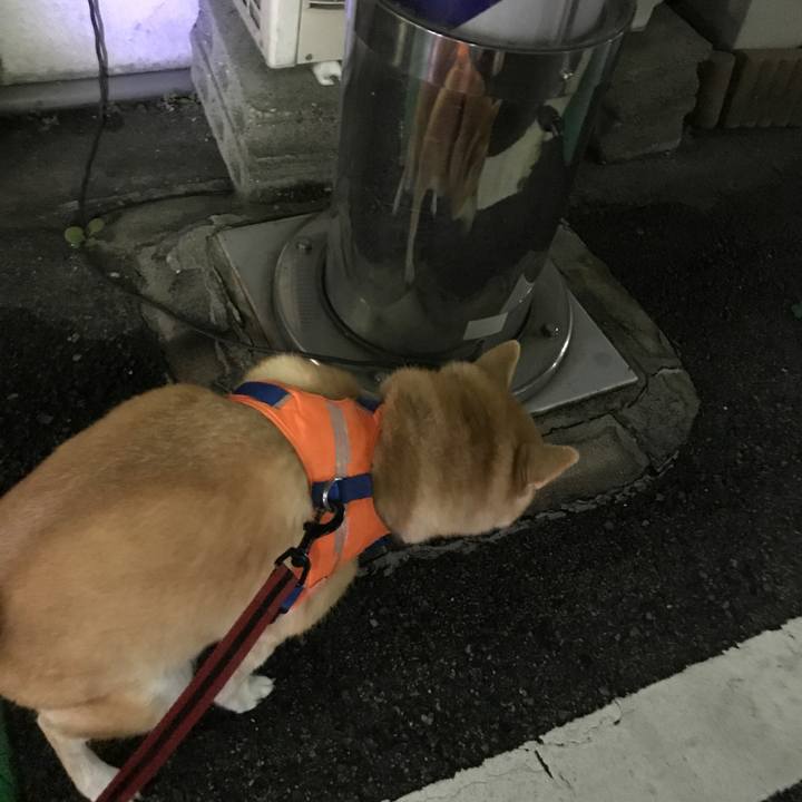 Fd8ceb44 fa63 4769 8d94 8c4a8afe8d33