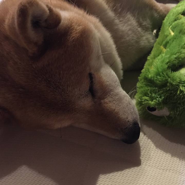 Fd8e15ea dc5a 4ea8 8b41 e71ac7e6b2bc