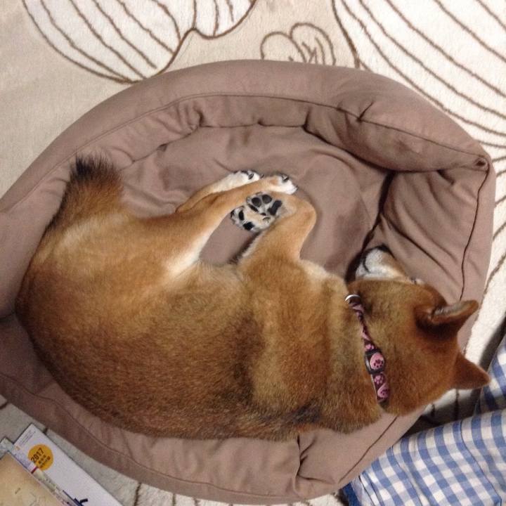 Fd8e44fd 7ef0 48de 8527 4d8a3790b7e1