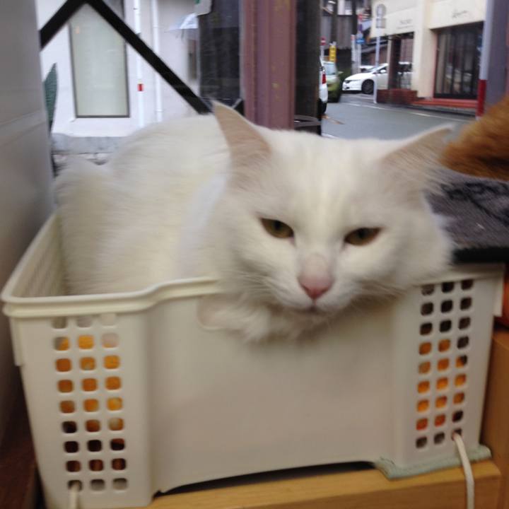 Fd8e9c7e 858e 436e 9a60 bfbcc86bd97f