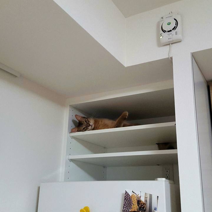 Fd8efb08 25f5 4638 a503 79a3a5bc95f2