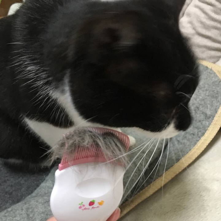 Fd8f27b6 888c 4c89 9720 f35c958c940e