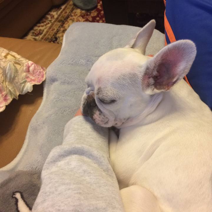 Fd8fd4e4 a277 4239 8548 cb141c8d7008