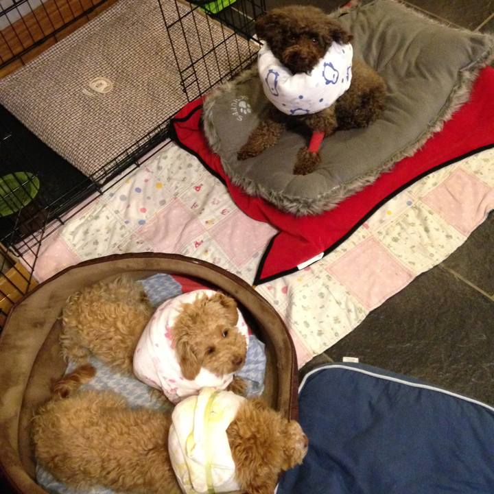 Fd911042 4e5d 43a2 aa2d c51fdde12b36