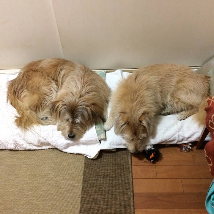 Fd937fe3 0a91 4b53 87a8 d00a97ef7c6e