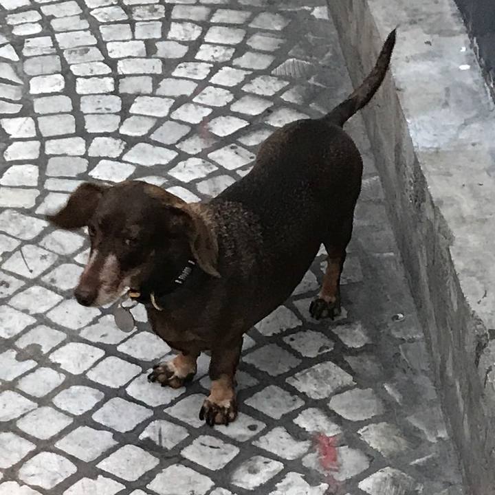 Fd943861 3cef 4b77 9442 4d3c8c4e5ba6