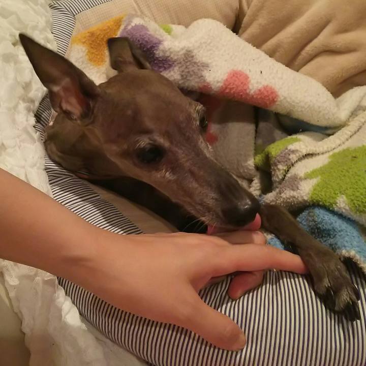 Fd946758 732c 4265 9fa1 8d7508ffe84f