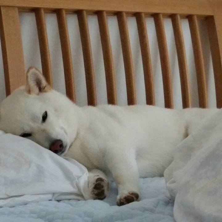 Fd95b514 d609 4cbd a820 1d004f631e2c