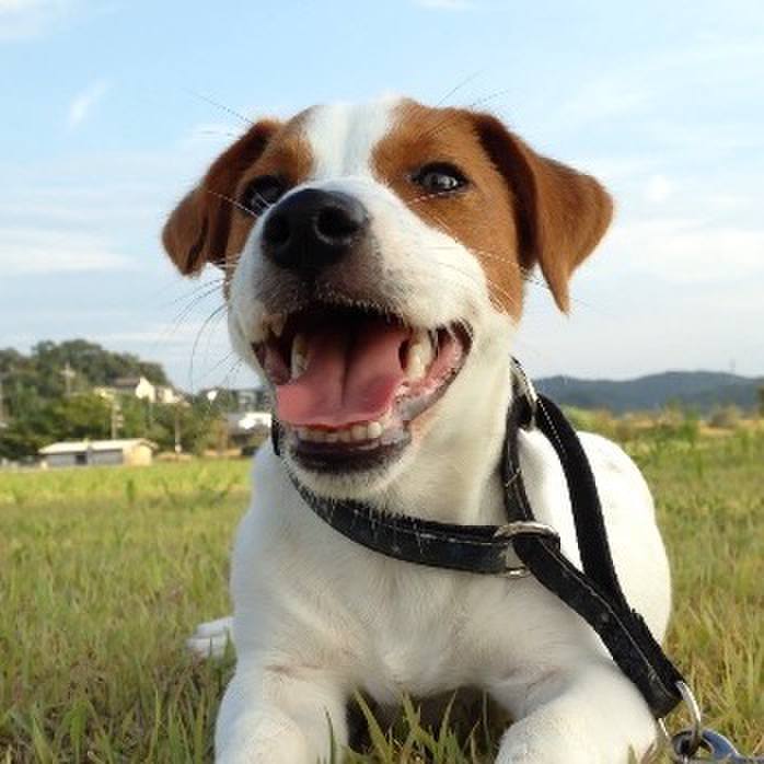 Fd95fd5b a6c6 4be6 a529 f2a99862b97c