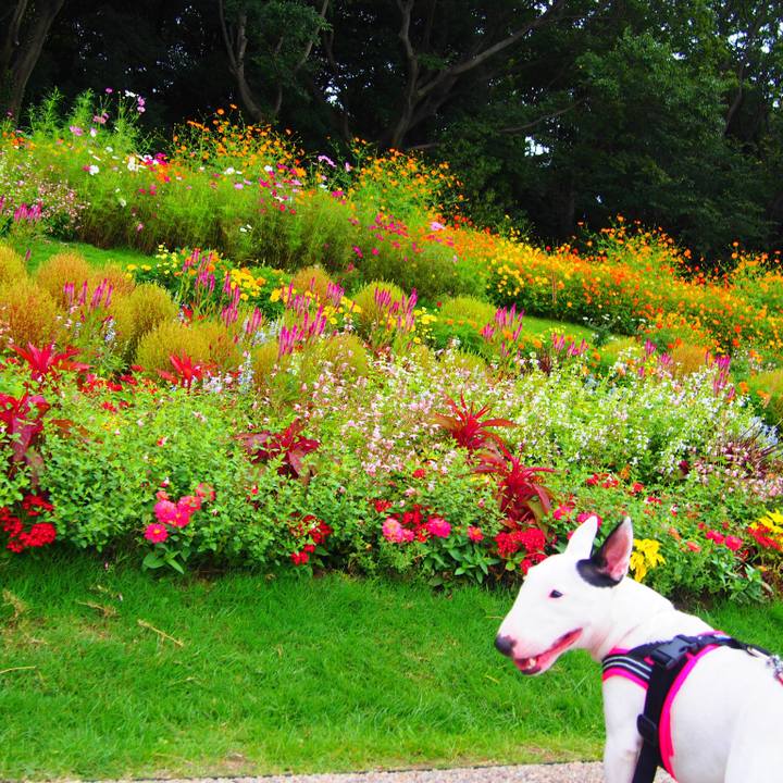 Fd961bdc 03aa 4b15 b109 41acb8abd6b1