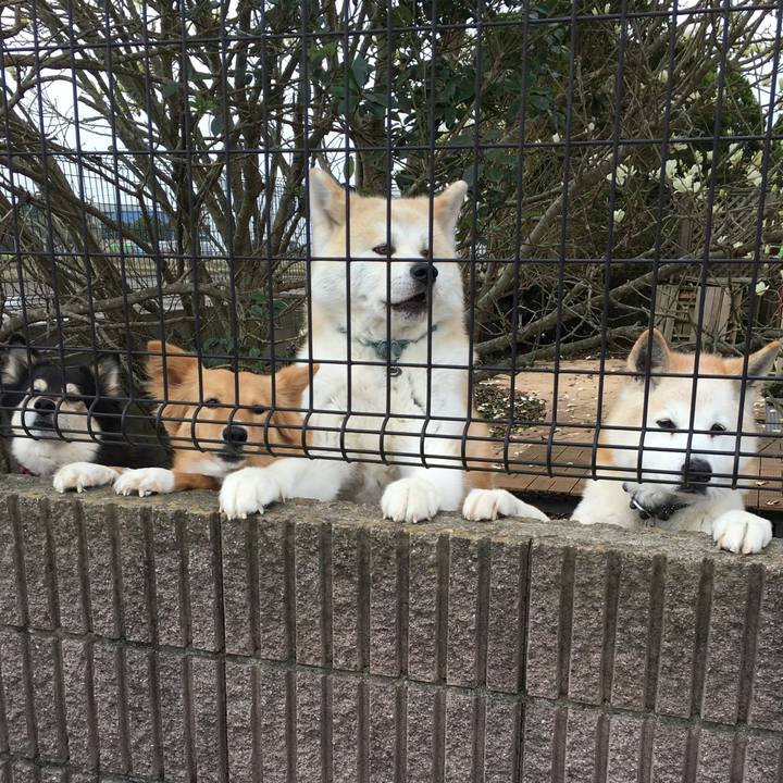 Fd97444d cabb 4777 be77 eb327355ff70