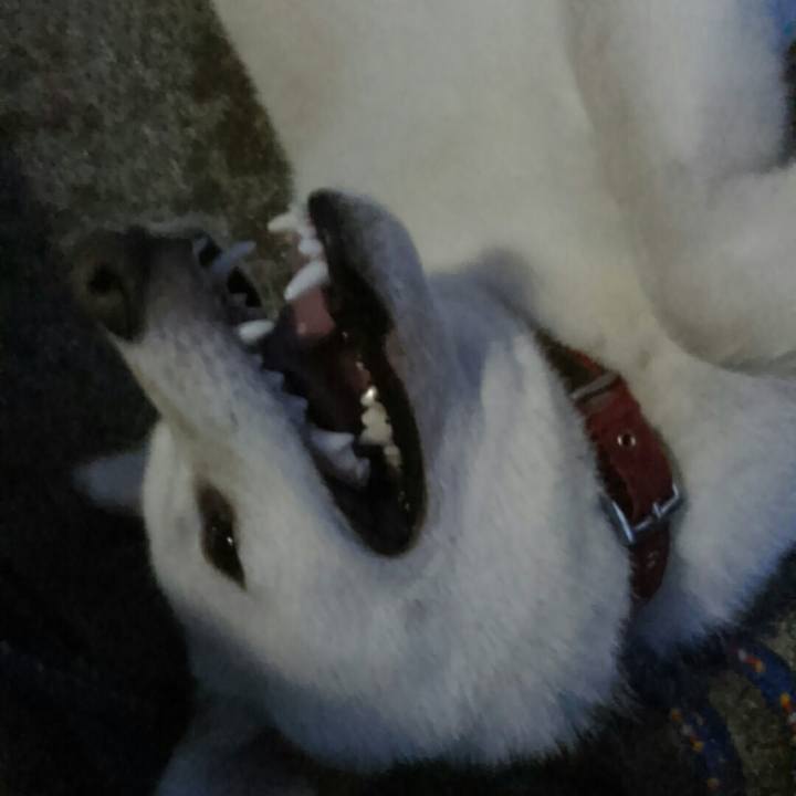 Fd97aa9c d6c5 4244 a235 6deac89a2009