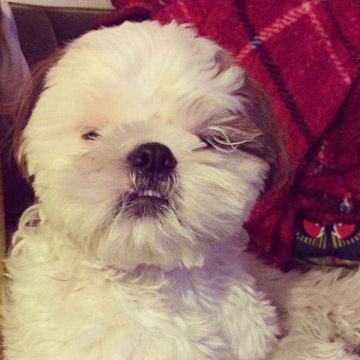 Fd98820e 5c54 475e a192 8453616983d8