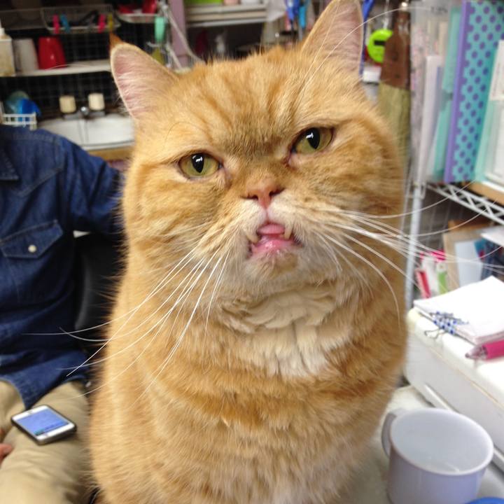 Fd995487 7f4d 4dbf b297 e031e921577b