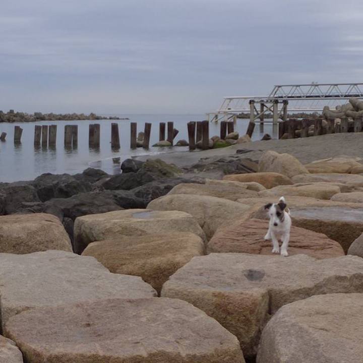 Fd998407 5c1a 42a8 9732 6e41424d72a2