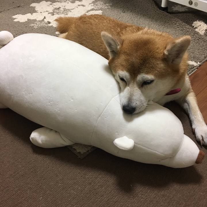 Fd99b2c2 9ae1 4458 99d2 5c21272e95e9