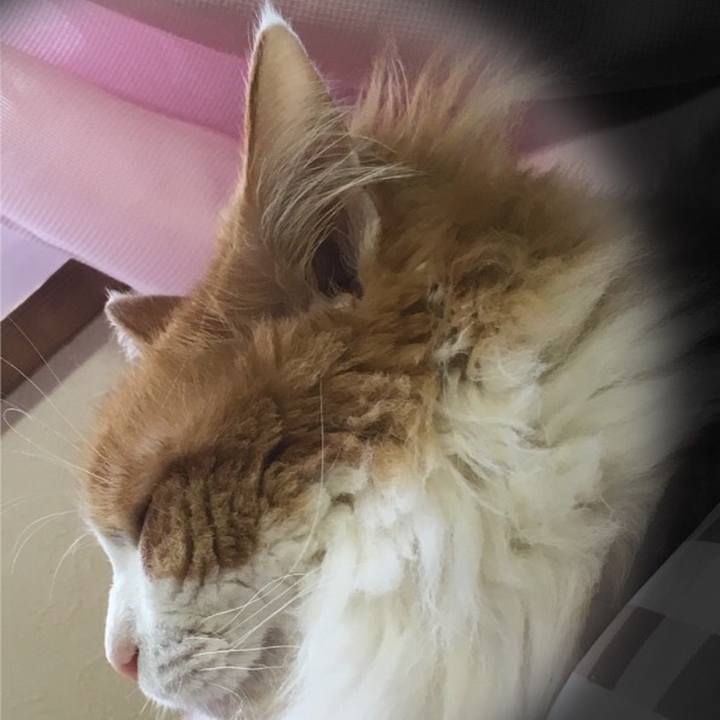 Fd9a4fc7 4844 49f3 87ae 34a8c541c7a8