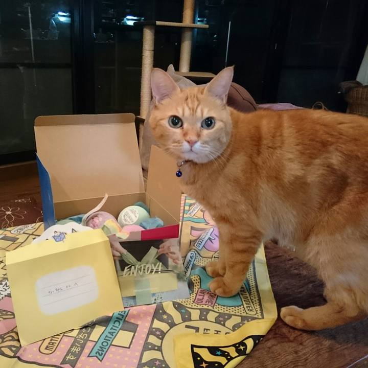 Fd9be0ff d266 47bd 9c94 a24bc6894726