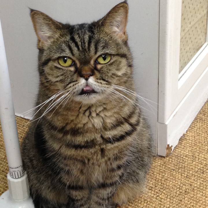 Fd9c299d 5ae2 4c4f 82a6 df172cfc5b7e