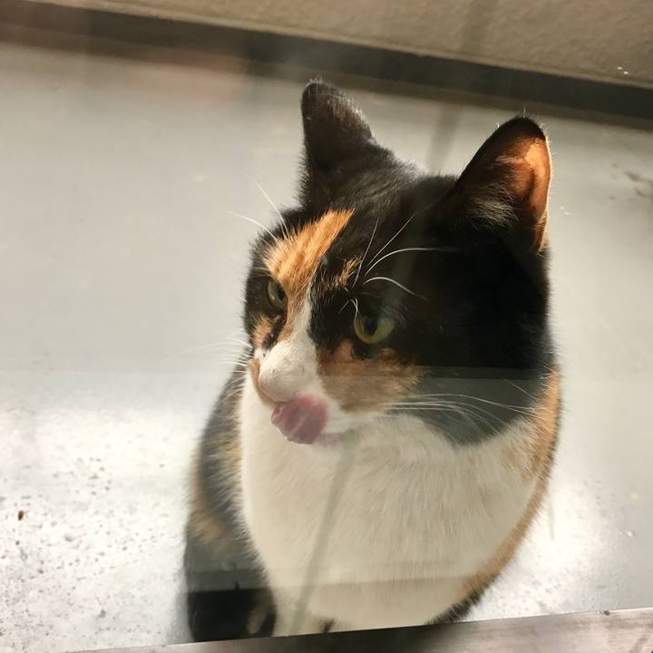 Fd9c9679 fef2 4a28 9d37 c1622db020d0