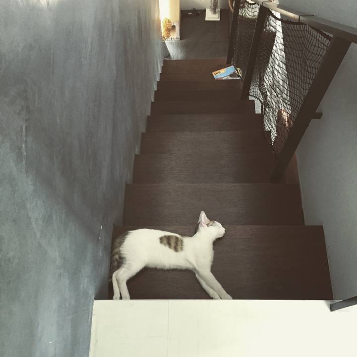 Fd9e544b 2f48 402e b60b 82cd1bc5ff89