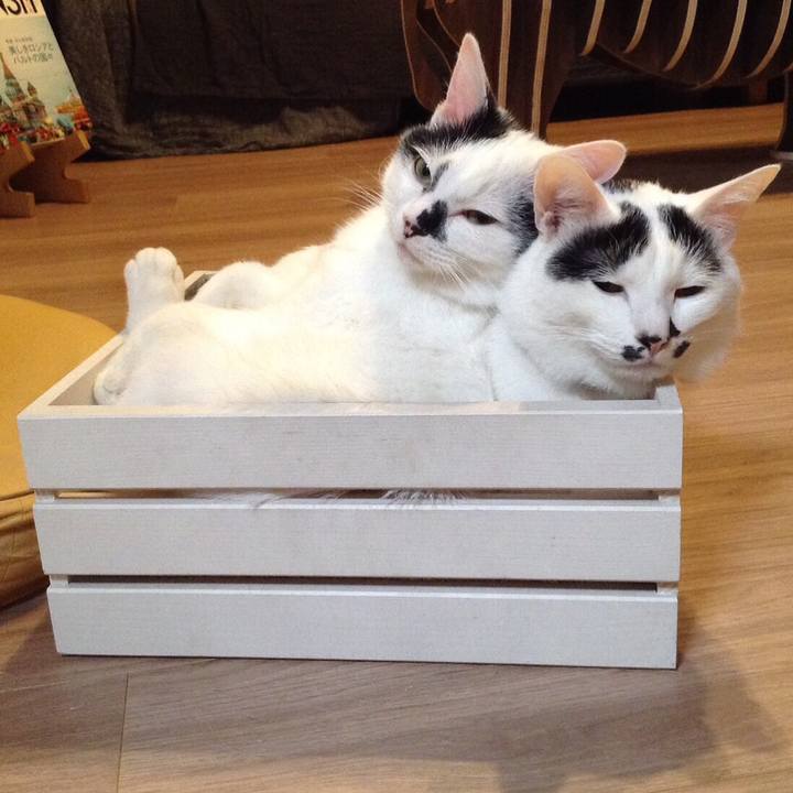 Fd9e8967 635e 49a3 b567 49c823f7db9c