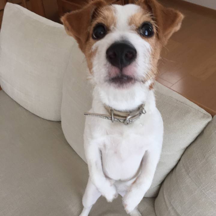 Fd9f1ad2 f9d6 4a3f b8a6 07142658da8c