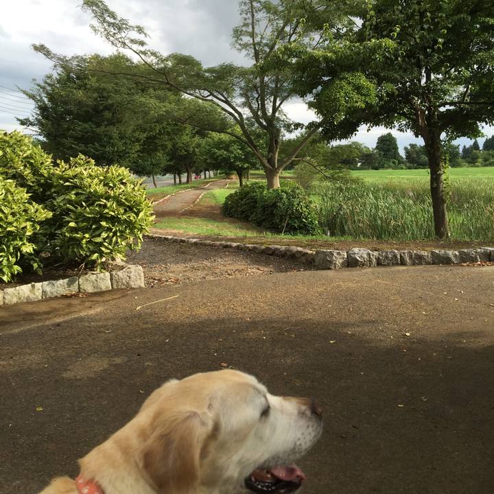 Fd9f204d 53a5 453a a0d8 d071f551d5db