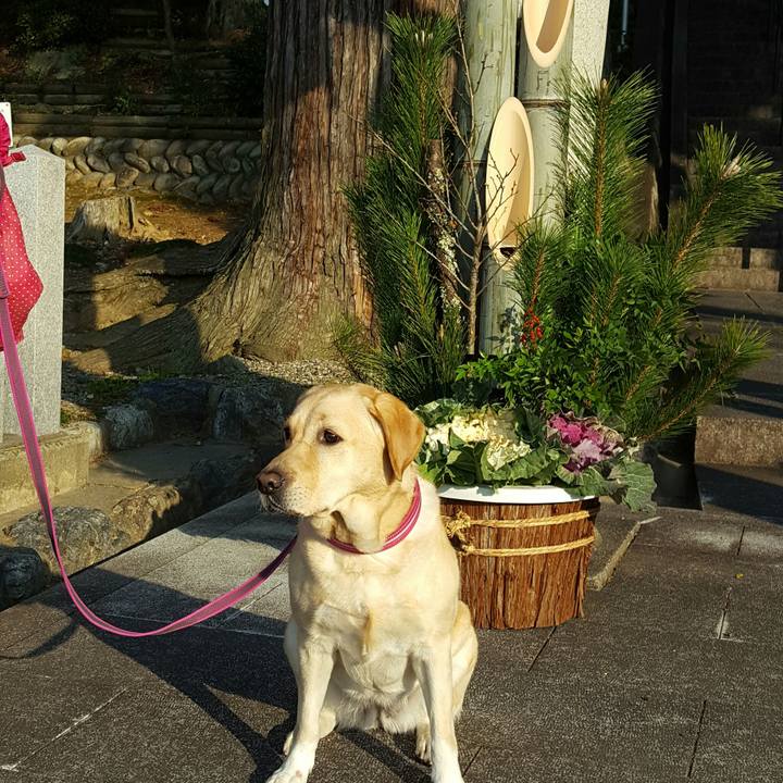 Fda00843 16cd 477f bc66 d094d645ceff