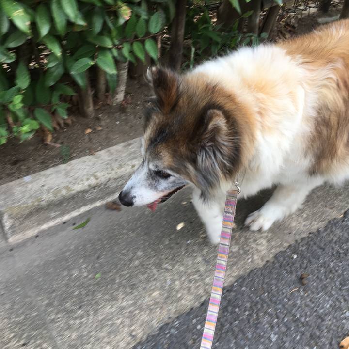 Fda0a813 653c 4b36 a7f8 3901965188be