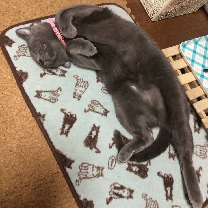 Fda0d8c6 53e0 40c2 b128 cd5d03ad7c68