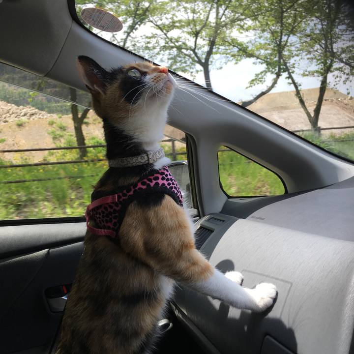 Fda0df28 b260 4658 bd9e 0cb51246aa08